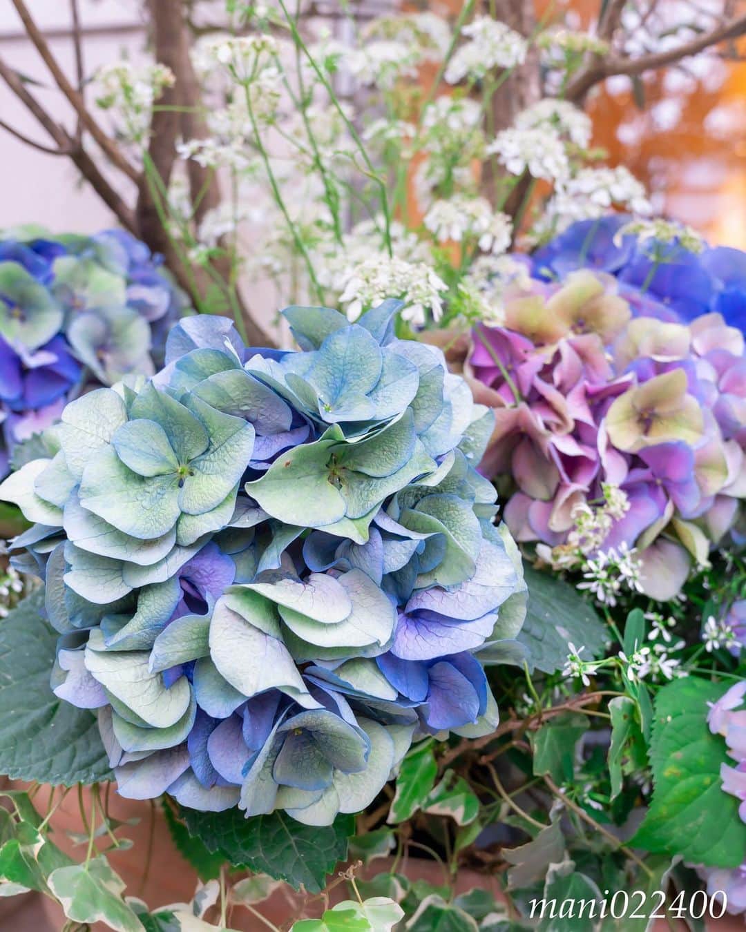 mani022400のグルメインスタ