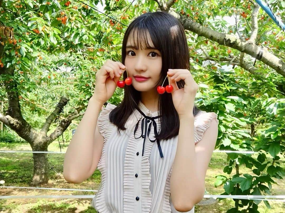 中村奏絵のインスタグラム：「🍒食べますか？☺️ #さくらんぼ #さくらんぼ狩り #39個 #食べられませんでした」