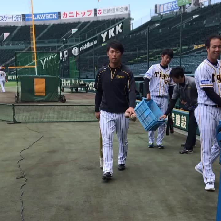 阪神タイガースのインスタグラム