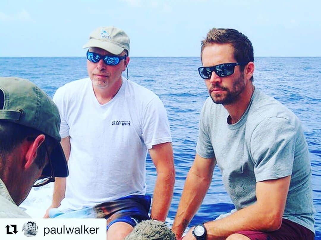 ジョーダナ・ブリュースターさんのインスタグラム写真 - (ジョーダナ・ブリュースターInstagram)「#Repost @paulwalker with @get_repost ・・・ Happy #WorldOceansDay! 🦈 In honor of Paul’s passion for the preservation of marine life, we hope you’ll help us continue to support @PaulWalkerFdn’s efforts in conservation through research and education! http://bit.ly/pwfdonate - #TeamPW #DoGood」6月9日 12時22分 - jordanabrewster