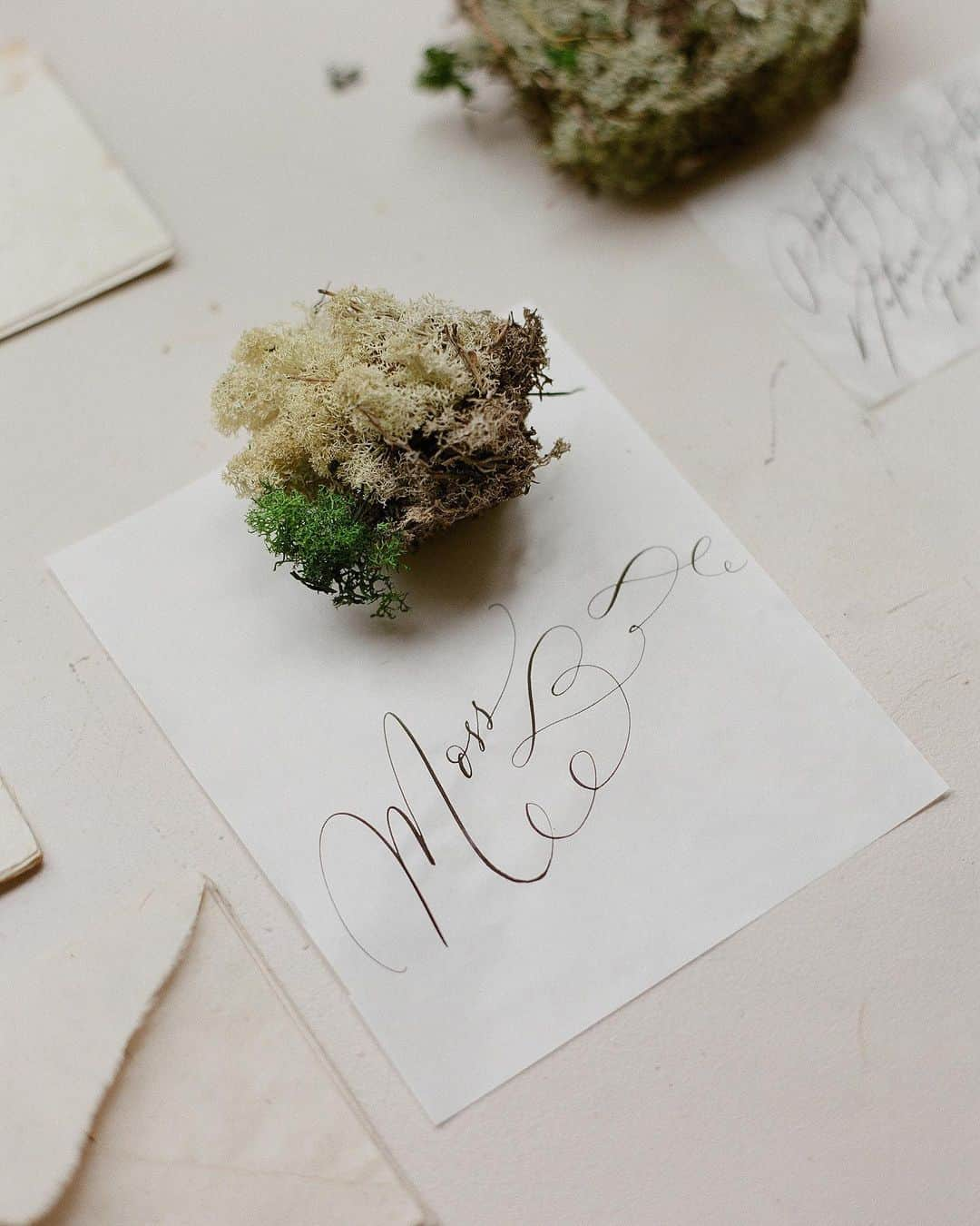 Veronica Halimさんのインスタグラム写真 - (Veronica HalimInstagram)「Went through my gallery this morning and found this picture of little moss I got from @yumisaitoparis a while ago in Paris. Congratulation on your book! Can’t wait to see you again — 📷 @gregfinck — #paris #parisshop #dustyblue #shopfront #truffypi #vhcalligraphy #parisworkshop #calligraphyworkshop #moderncalligraphy #tbt #カリグラフィー #カリグラフィーワークショップ  #スタイリング #moss #nature #カリグラファー #モダンカリグラフィー #weekend #mossgarden #handwriting」6月9日 12時30分 - truffypi