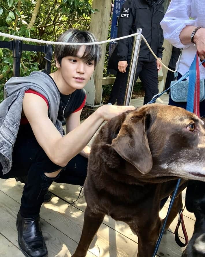 NCT 127さんのインスタグラム写真 - (NCT 127Instagram)「🐶 & 🐕  #NCT127 〖 #SUPERHUMAN 〗  #WE_ARE_SUPERHUMAN #NCT127_SUPERHUMAN」6月9日 12時32分 - nct127