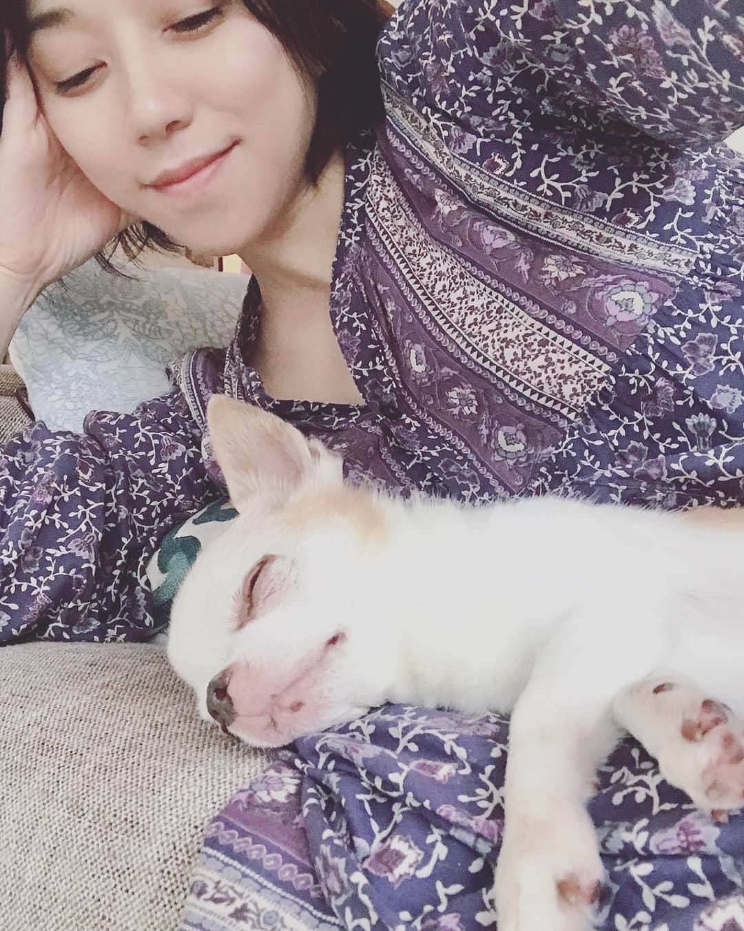川田希さんのインスタグラム写真 - (川田希Instagram)「ワンピースの上で気持ち良さそうに寝てるので動けません。笑笑」6月9日 12時53分 - nozomikawata
