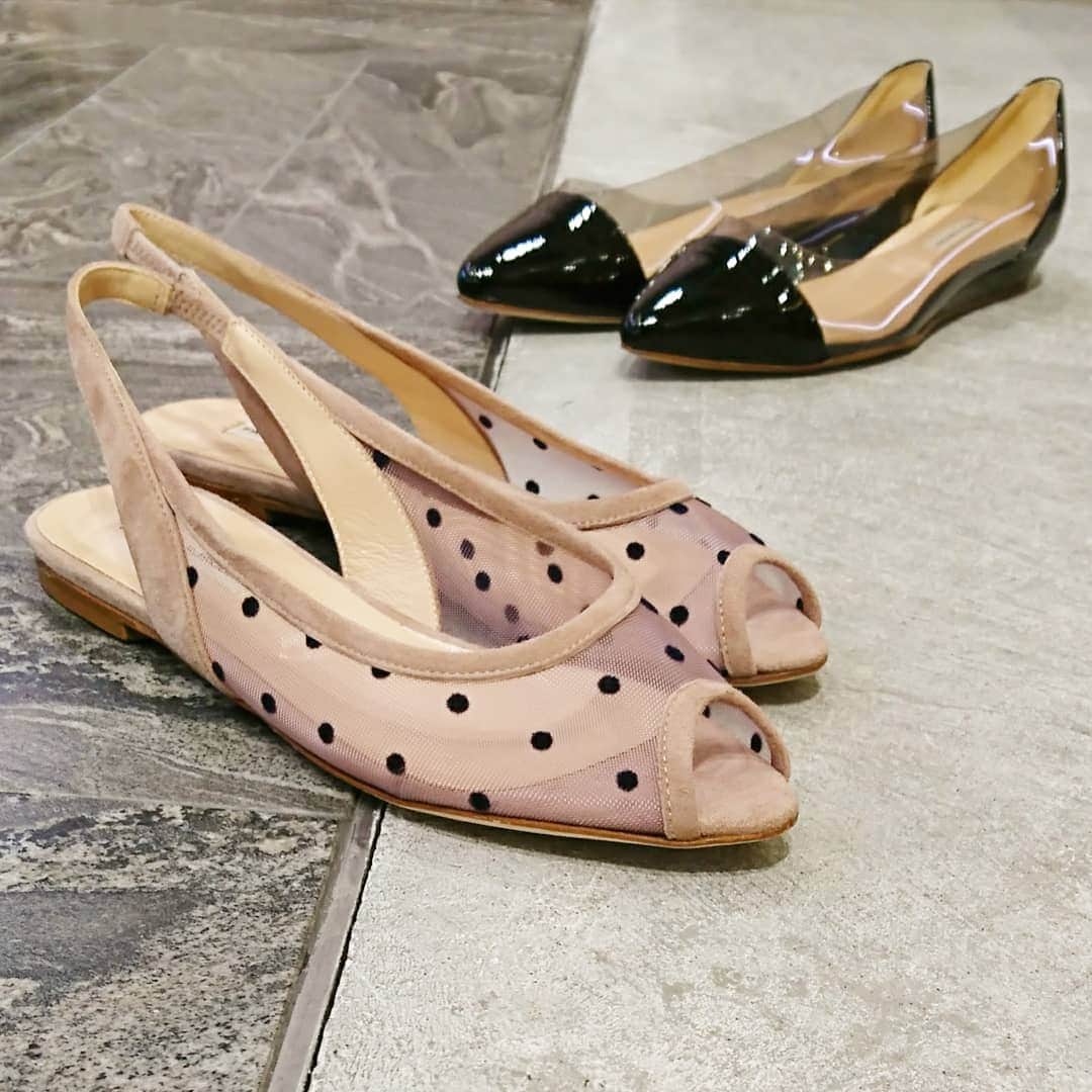 ファビオ ルスコーニのグルメインスタ