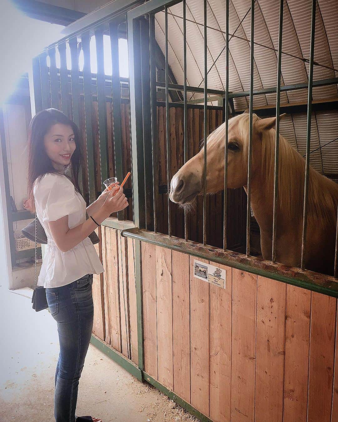 茨木菜緒さんのインスタグラム写真 - (茨木菜緒Instagram)「. 牧場🐴🐖🐄🐏 最近動物と触れ合う事多い❤️ 癒される🥺 . #めっちゃ逆光な写真やけど 笑😂 #牧場 #動物 #zoo #豚 #馬 #羊 #ヤギ #癒し  #餌やり したよ🥕😆」6月9日 18時39分 - kudonao2218