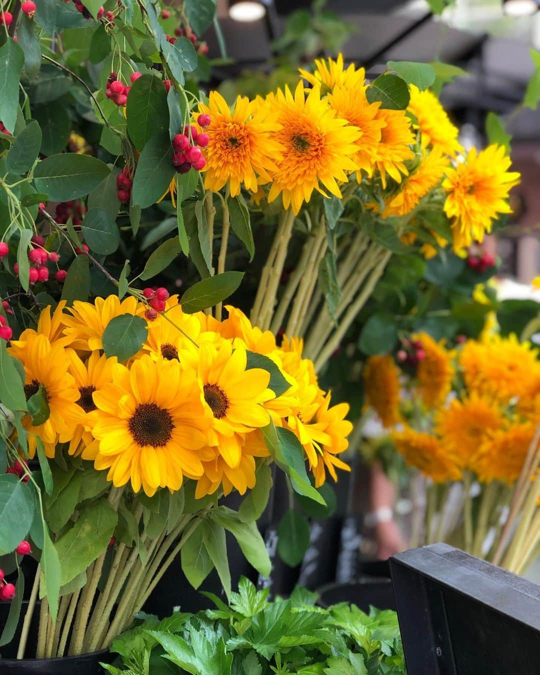 池上真麻さんのインスタグラム写真 - (池上真麻Instagram)「今日は曇っているけれど、お花屋さんにはひまわりも並び始めましたね。 . 【伊勢丹新宿店 サロンドールダイパーケーキ 期間限定販売 は、6月27日まで。本館6階 マタニティ売場にて】 . #サロンドール #ダイパーケーキ #おむつケーキ #オムツケーキ #ネピア #ネピアホワイト #ベビーシャワー #プレママ #卒花嫁  #卒花 #妊婦 #妊娠7ヶ月 #妊娠8ヶ月 #妊娠9ヶ月 #臨月 #初産 #第二子出産 #安産祈願 #出産祝い #ブーケ #花束 #salondor #babyshower #diapercake #bouquet  #池上真麻」6月9日 13時45分 - marsaikegami