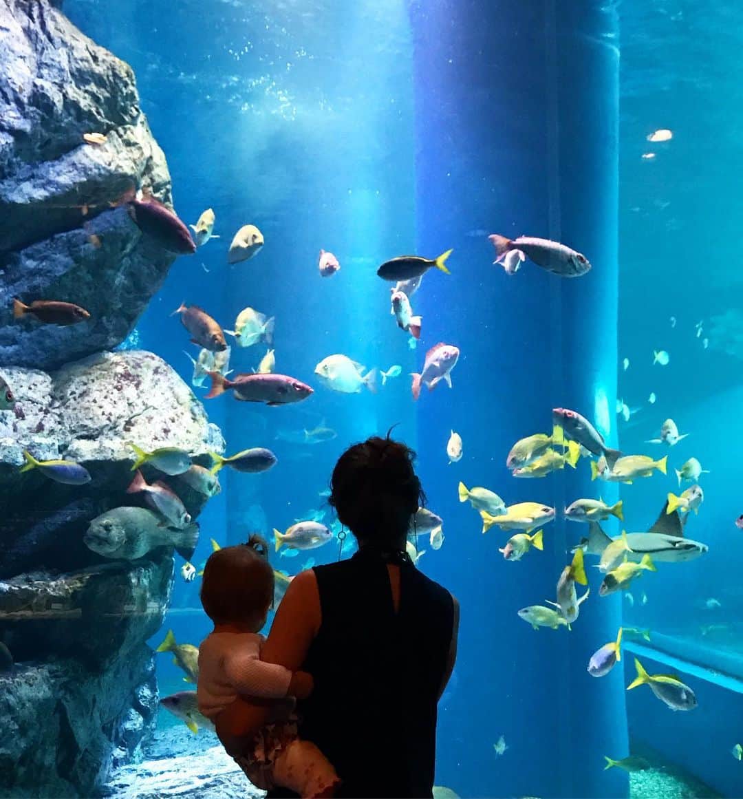 太田エイミーのインスタグラム：「Kitty’s fist time at an aquarium. The very big fish and screaming kids were overwhelming but we enjoyed the little fish and cuddling the stuffed animals in the gift shop 😂」
