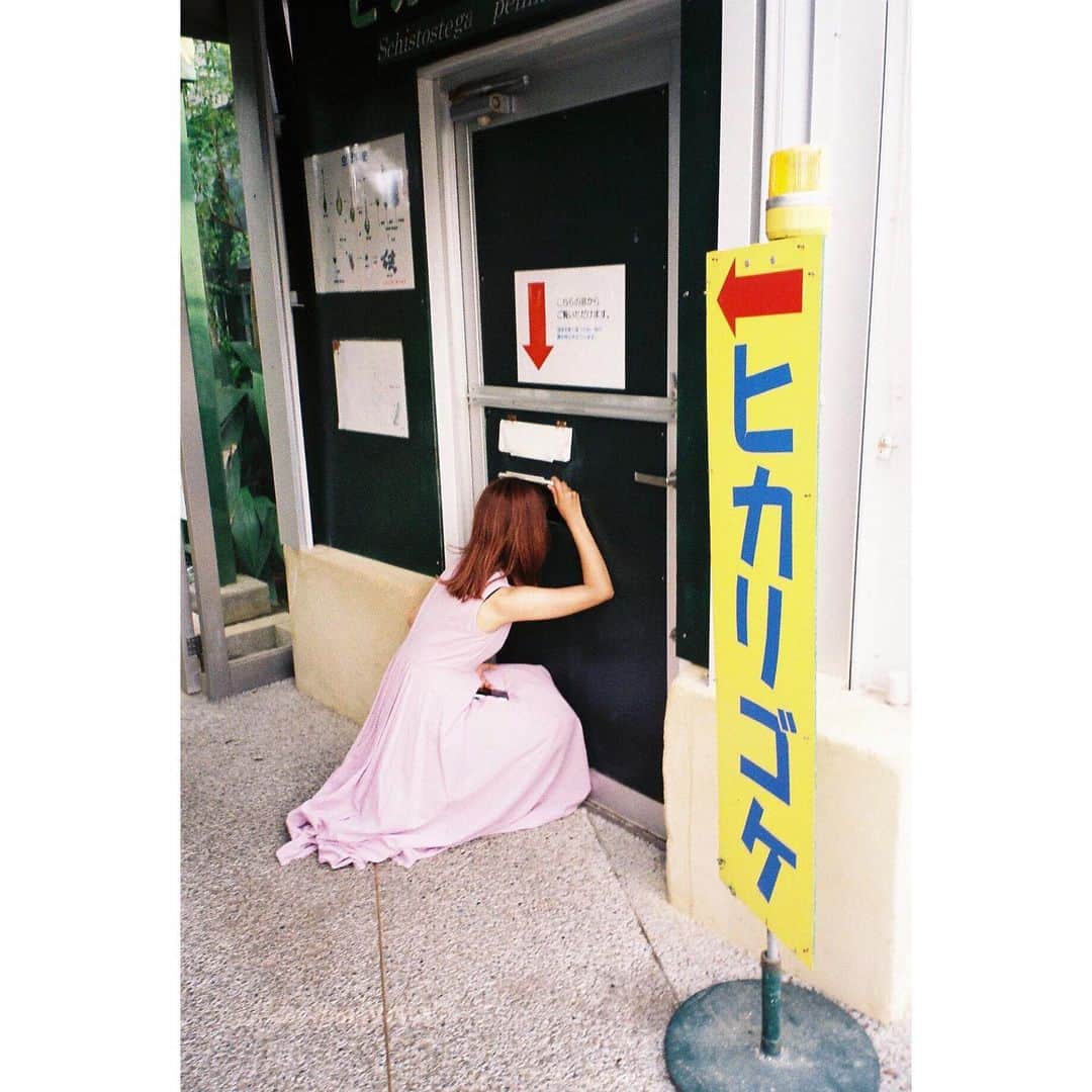 Aya（高本彩）さんのインスタグラム写真 - (Aya（高本彩）Instagram)「はままつフラワーパークで見つけた〝ヒカリゴケ〟。 貴重なコケ植物見れて大興奮。  #光ってた #ヒカリゴケ #tokyoheadline #浜松市 #はままつフラワーパーク」6月9日 14時15分 - aya_dream04