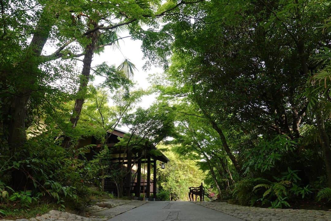 THE SODOH OFFICIALのグルメインスタ