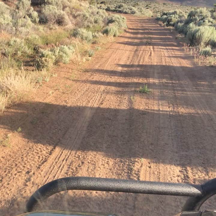 ストーン・コールド・スティーブ・オースチンのインスタグラム：「Me and Buck riding the back roads of Nevada.  #freedom #outdoors #4x4  #SxS #freshair #nevada  #muleprofxt Band:Molly Hatchet Song:Dreams I’ll never See」