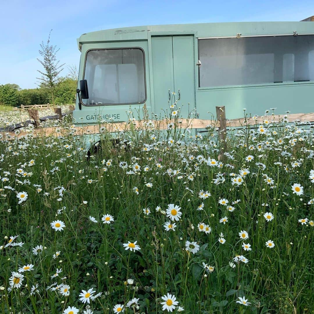 ボビー・ブラウンさんのインスタグラム写真 - (ボビー・ブラウンInstagram)「Everything perfect at @sohofarmhouse #charming #englishcountryside #judysbdaybash」6月9日 15時16分 - justbobbidotcom