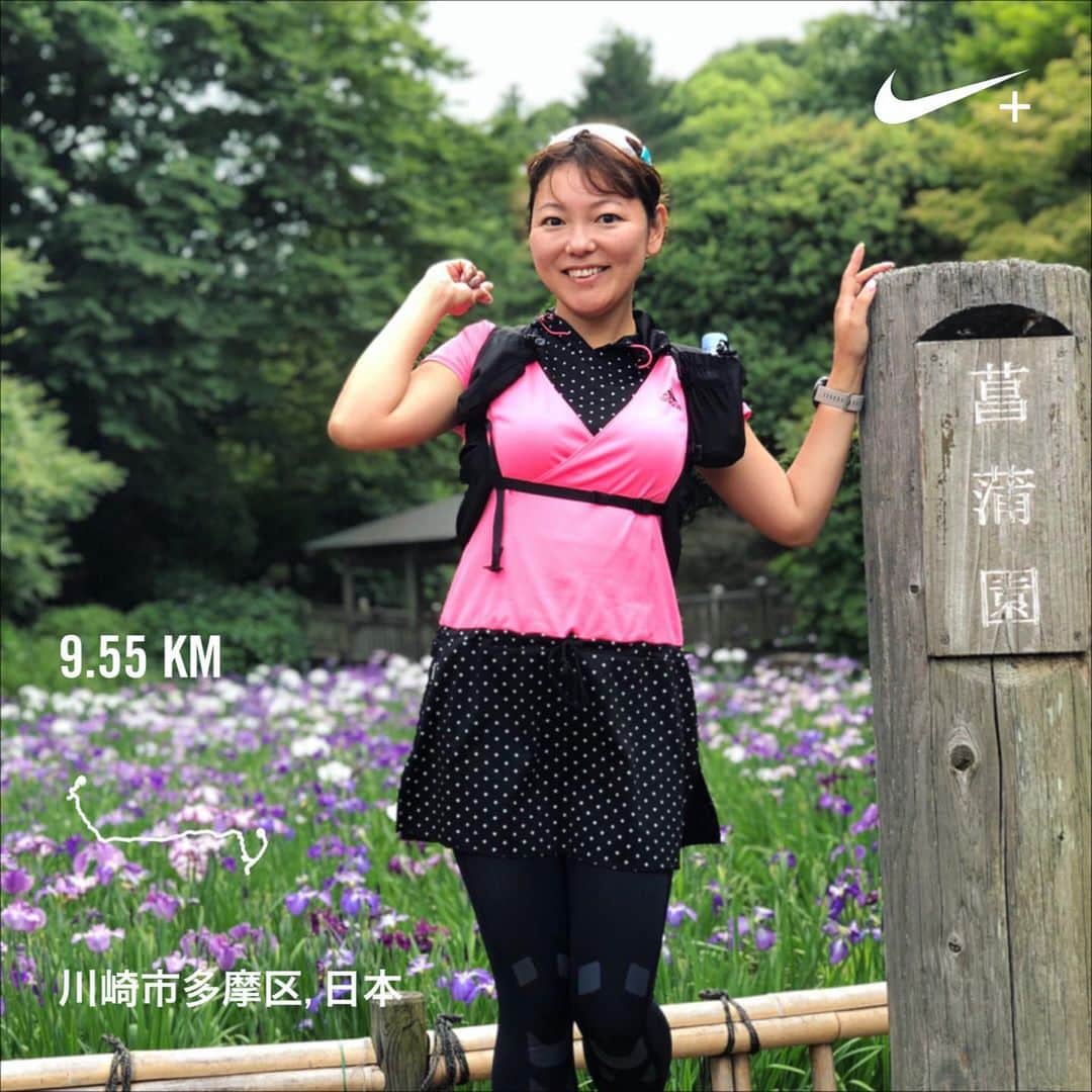 run+さんのインスタグラム写真 - (run+Instagram)「2019年6月15日【プチトレラン＆蛍の宵】試走 写真を撮ったり食べたりしながら予定コースチェック📍 ・ 試走って言いながら結構歩いてるけど🤣 #菖蒲 いっぱい #紫陽花 は1週間でどれだけ咲くかなー？ ・ #蛍 #ホタル #run➕α ・ ＊-------------------------------------------------＊ #RUNPLUS #ランニケーション ＊-------------------------------------------------＊ ・ #花見ラン #花見RUN #花見は桜だけじゃないよ ・ #花見 #花菖蒲 #ランニング #RUN #ゆるラン #走れるって幸せ ・ #街ラン #街RUN #CITYRUN #RUNNING #ランニング #ジョギング #ゆるラン #ランニング女子 ・ #ガーミン #NIKEPLUS  #ハシリマスタグラム #ハシリマシタグラム #走るひと ・ #Runday #RunLovesLife #joyrun」6月9日 15時16分 - runplus