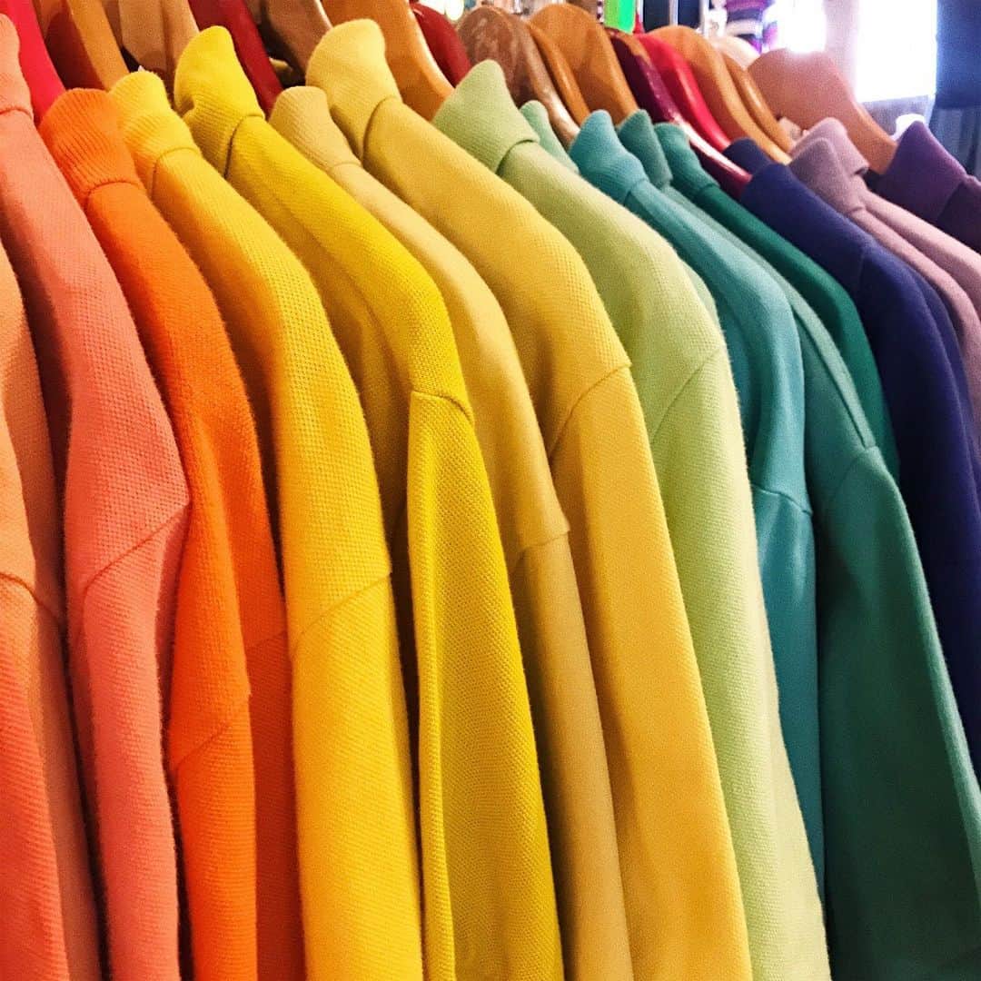 スピンズさんのインスタグラム写真 - (スピンズInstagram)「🚏USED🚏﻿ ﻿ USEDのポロシャツは﻿ こーーーー😻😎🥊🎀んなに❕❕❕﻿ カラーバリエーションがあるんです💨🎯﻿ ﻿ 是非是非多色買いしちゃってくださいな🍇🤾‍♀️﻿ ﻿ ﻿ price : ￥3,200+tax﻿ ﻿ #SPINNS #スピンズ #ポロシャツ #USED #color #古着 #可愛い #カワイイ #fashion #ootd」6月9日 15時25分 - spinns_official