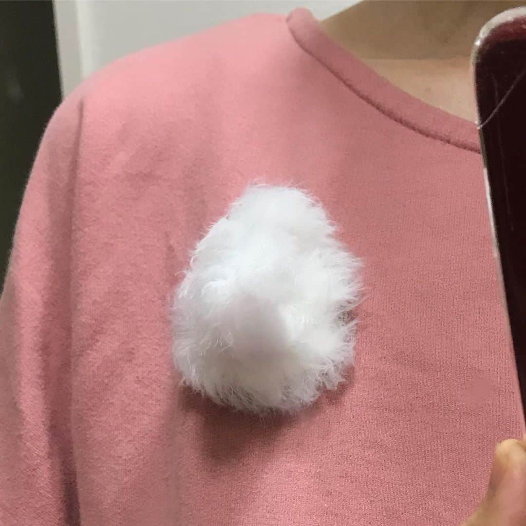 栗原まもるのインスタグラム：「猫ふぐりブローチ、つけると尻尾が垂れ下がるのでただのフワフワしたものにしか見えません。#銀座猫集会展」