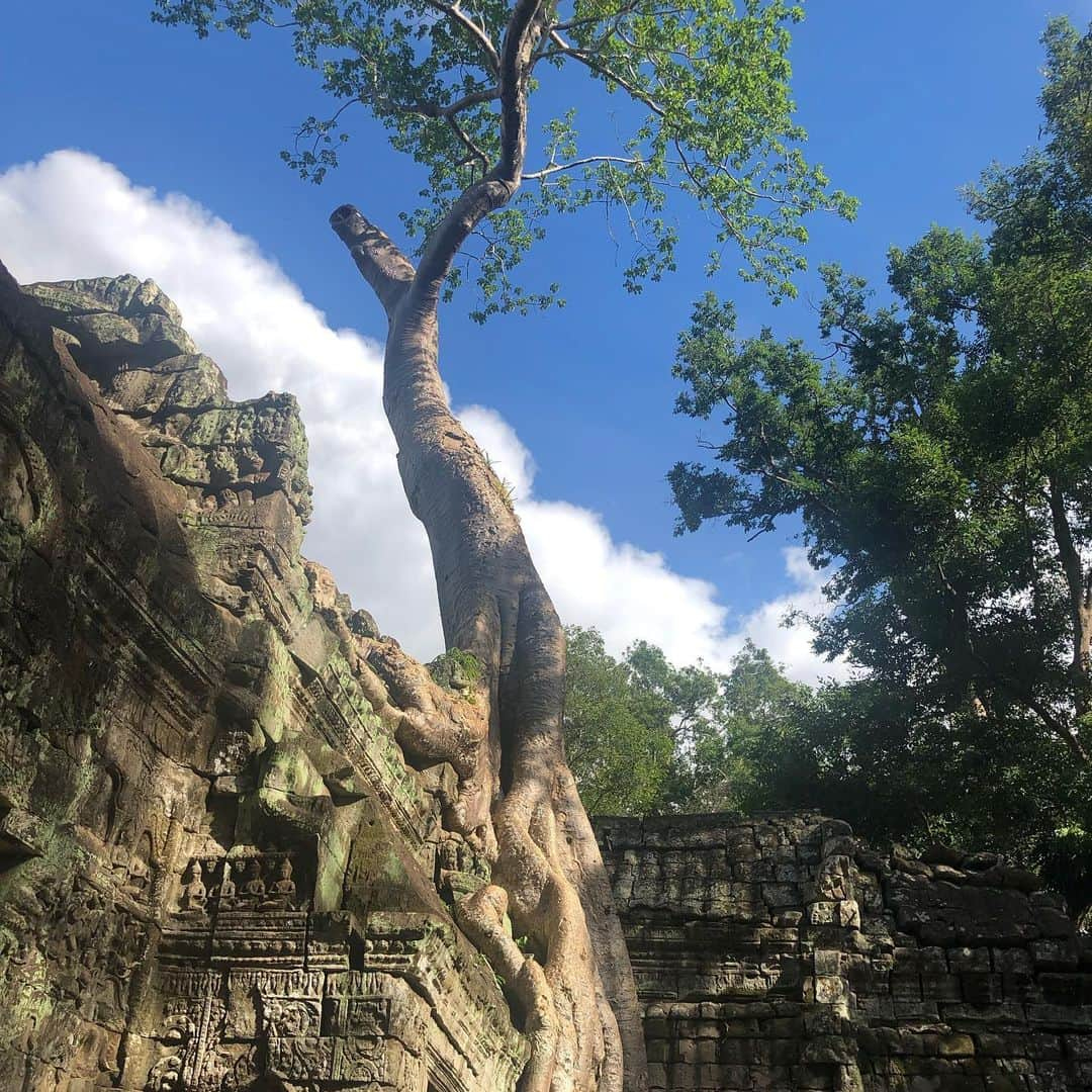 佐々木真奈美さんのインスタグラム写真 - (佐々木真奈美Instagram)「✅Angkor Wat  #cambodia #siemreap #worldheritage #アンコールワット #シェムリアップ #カンボジア #アンコールワットタビジョ #世界遺産」6月9日 16時26分 - manami_sasaki_official