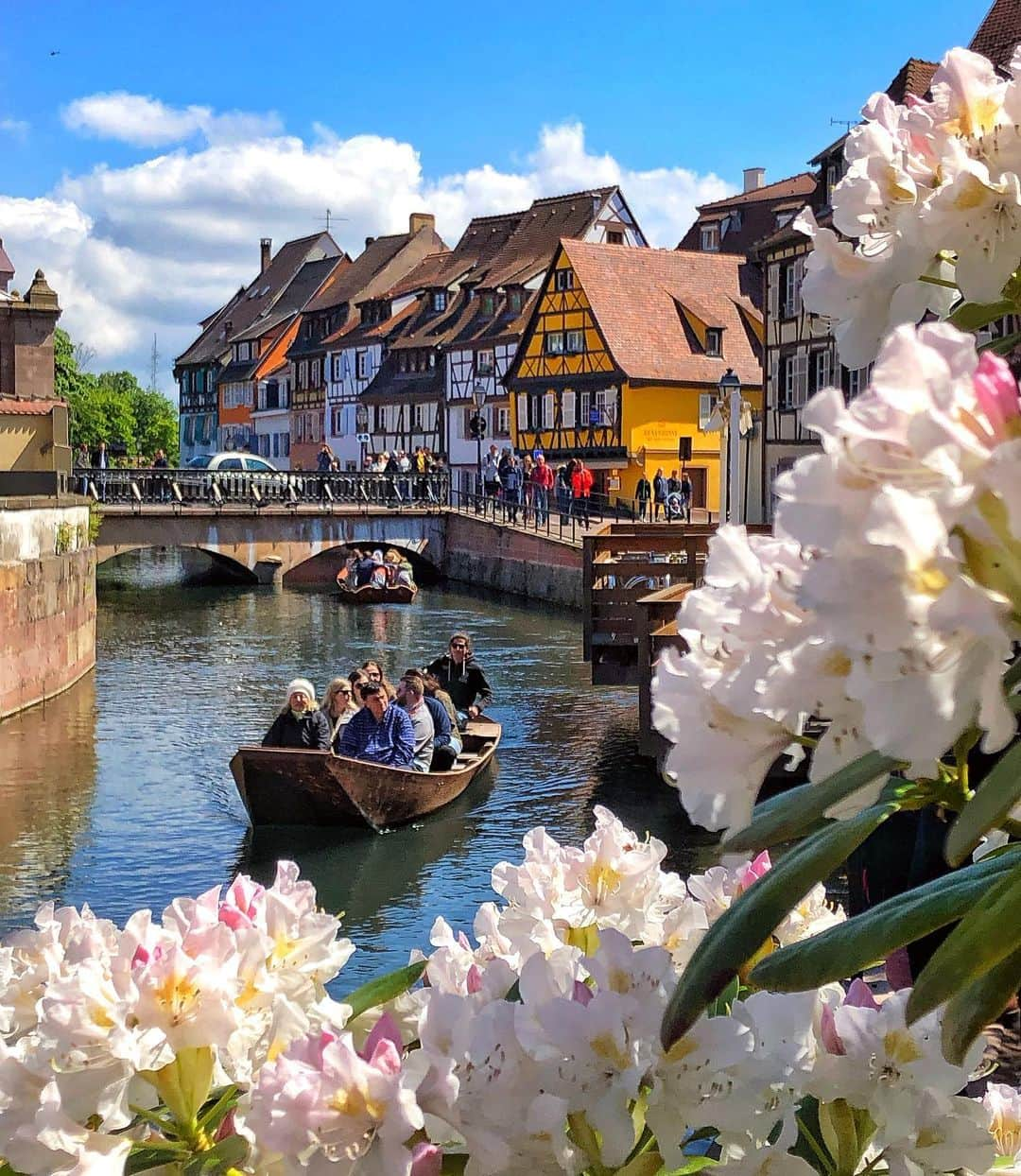 Hatice Korkmaz The Color Queenのインスタグラム：「Colmar🌸🌼🌺 #france #alsace #colmar #love #colors #summer」