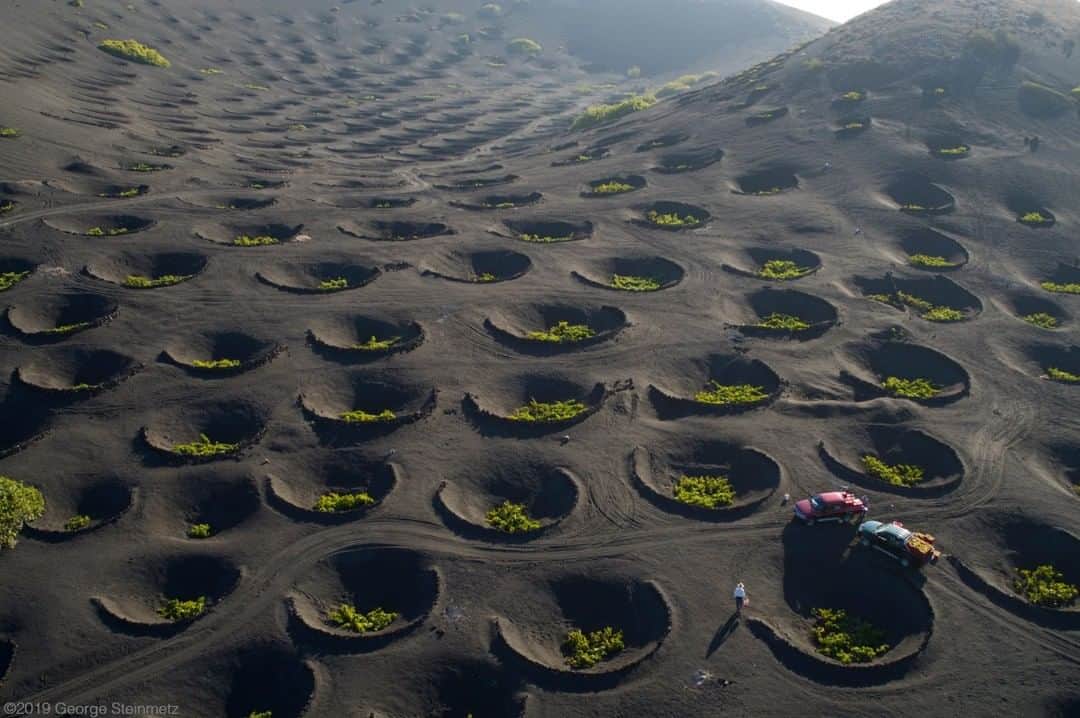 のインスタグラム：「Photo by George Steinmetz @geosteinmetz | Harvesting grapes on the volcanic craters of Lanzarote in the Canary Islands. Over a hundred years ago, local farmers figured out a way to make wine on this austere landscape, by hollowing out pits to access the richer and wetter inner soil. The harvest here is still a family affair, with meals served on the back of a pickup. To see more of our world from above, follow @geosteinmetz」