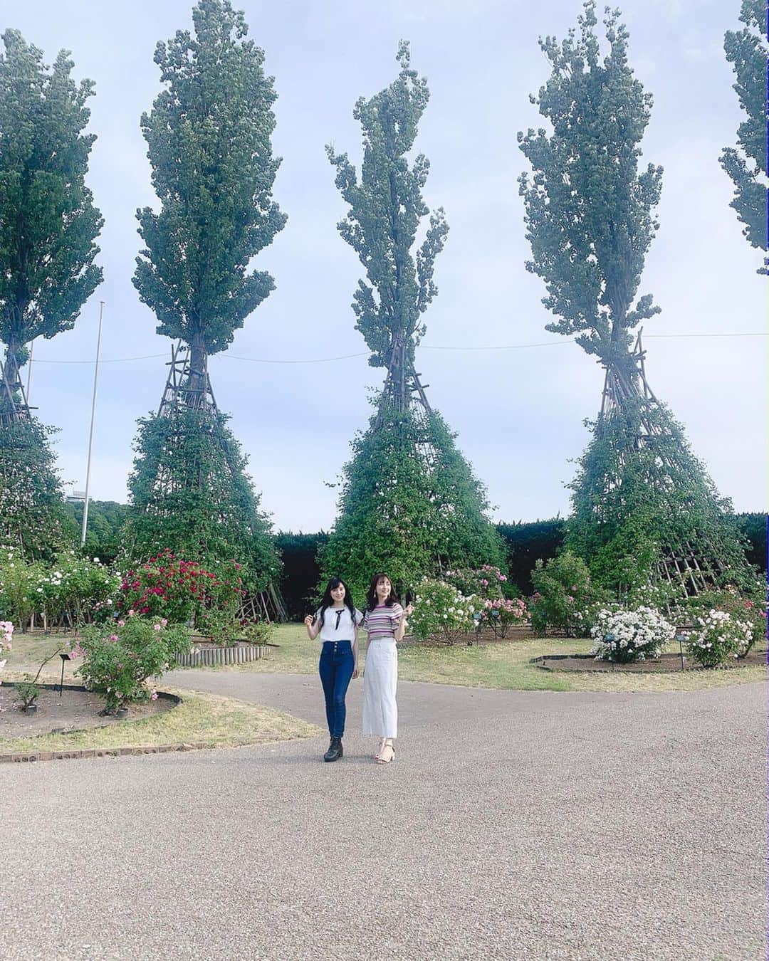 長谷川萌美さんのインスタグラム写真 - (長谷川萌美Instagram)「. .  #地元 #長岡 #越後丘陵公園 🌹 . . FMPORT「Bitter & SweetのGOLDEN SOUNDay♪」放送中📻！！👭 . 長岡ライブの後、ロケ収録をさせて頂きました！ . 私があさひちゃんとスタッフさんを連れて行きたいと思った #国営越後丘陵公園 🌈へ♪ @echigohillsidepark ←✨ .  #薔薇 が見頃ということで 気になっていたので 行きたかったのです！！😊 #もえみた花たち . スタッフさんの松田さんに案内して頂きました💓 . 色んな種類の薔薇が咲き誇っていて素敵でした🌹✨ 6/16まで開催中です！！ . 「赤ばらソフト」とっても華やかな香りが口いっぱいに広がって美味しかったぁ✨ . 変形自転車は急に下り坂でめちゃくちゃ速くなってびっくりしました！！😂風が気持ちよかった〜✨ . 小学生の時に遊びに来ていたので懐かしかったです☺️ . ありがとうございました🙌 .  #タイムフリー でもぜひお聴きください！！👭 . .  #fmport #ラジオ #越後丘陵公園 #花 #flowers #バラ #rose」6月9日 18時56分 - moemi_hasegawa