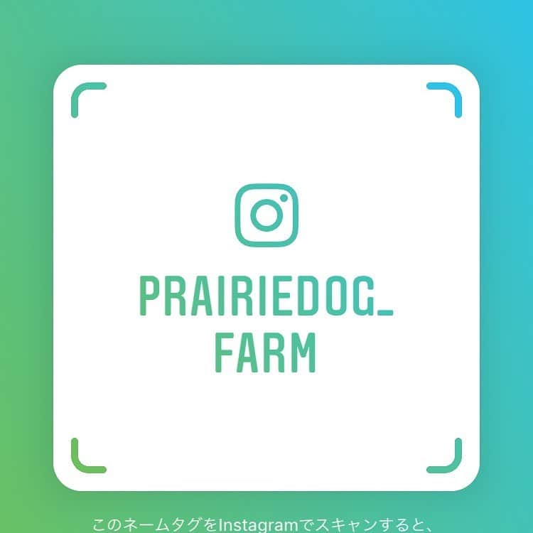 プレーリードッグさんのインスタグラム写真 - (プレーリードッグInstagram)「【毎朝更新中！！】 プレーリードッグファーム @prairiedog_farm のアカウントも毎日更新中！ こちらのアカウントでは、これまでご紹介してきたスプラウトはもちろん、ただ今進行中のファームの裏側、栽培豆知識や成長日記などをご紹介します😊🌱 スプラウトを使ったレシピも @prairiedog_farm でご紹介しますのでお楽しみに( ^ω^ ) フォローよろしくお願いします！ #プレーリードッグファーム #姉妹アカウント #毎日更新 #毎朝更新 @prairiedog_farm  #ぜひ #フォローしてください #よろしくお願いします #みてね #新規就農」6月9日 19時18分 - prairiedog_web