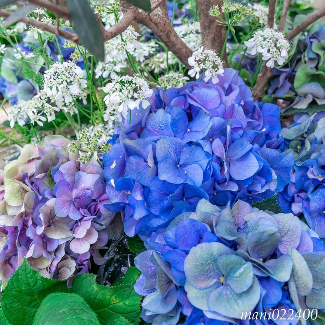 mani022400のグルメインスタ