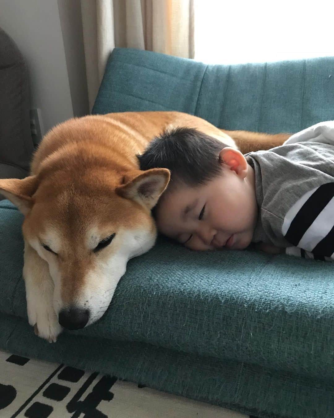 高橋みゆきのインスタグラム：「なんだ！この可愛い2人は😍😍ずっと見ていられるよ👶💕🐶 #昼寝 #本当クラ吉大好き #ほのぼの #癒しの光景」