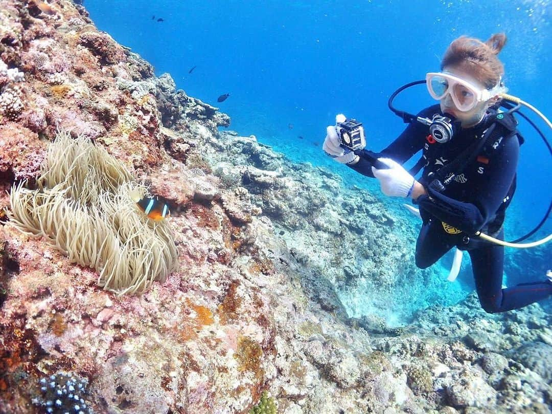 澤井玲未さんのインスタグラム写真 - (澤井玲未Instagram)「今日は一人で宮古島で初ダイビング🐠💙 宮古島はダイビングが良いって聞いていたから念願叶ってやっと出来た✨ 洞窟やら沈没船内どれも綺麗！ 最後の動画は少しうざめ😂笑 . #miyakojima#miyakoisland#scubadiving#diving#diver#divergirl#divingmodel#sukenship#cave#underthesea#宮古島#ダイビング#スキューバダイビング#ダイバー#ダイビング女子#小麦肌#小麦肌モデル#沈没船#洞窟#宮古ブルー#ダイビングモデル#宮古島ダイビング」6月9日 19時52分 - lemi_cruva