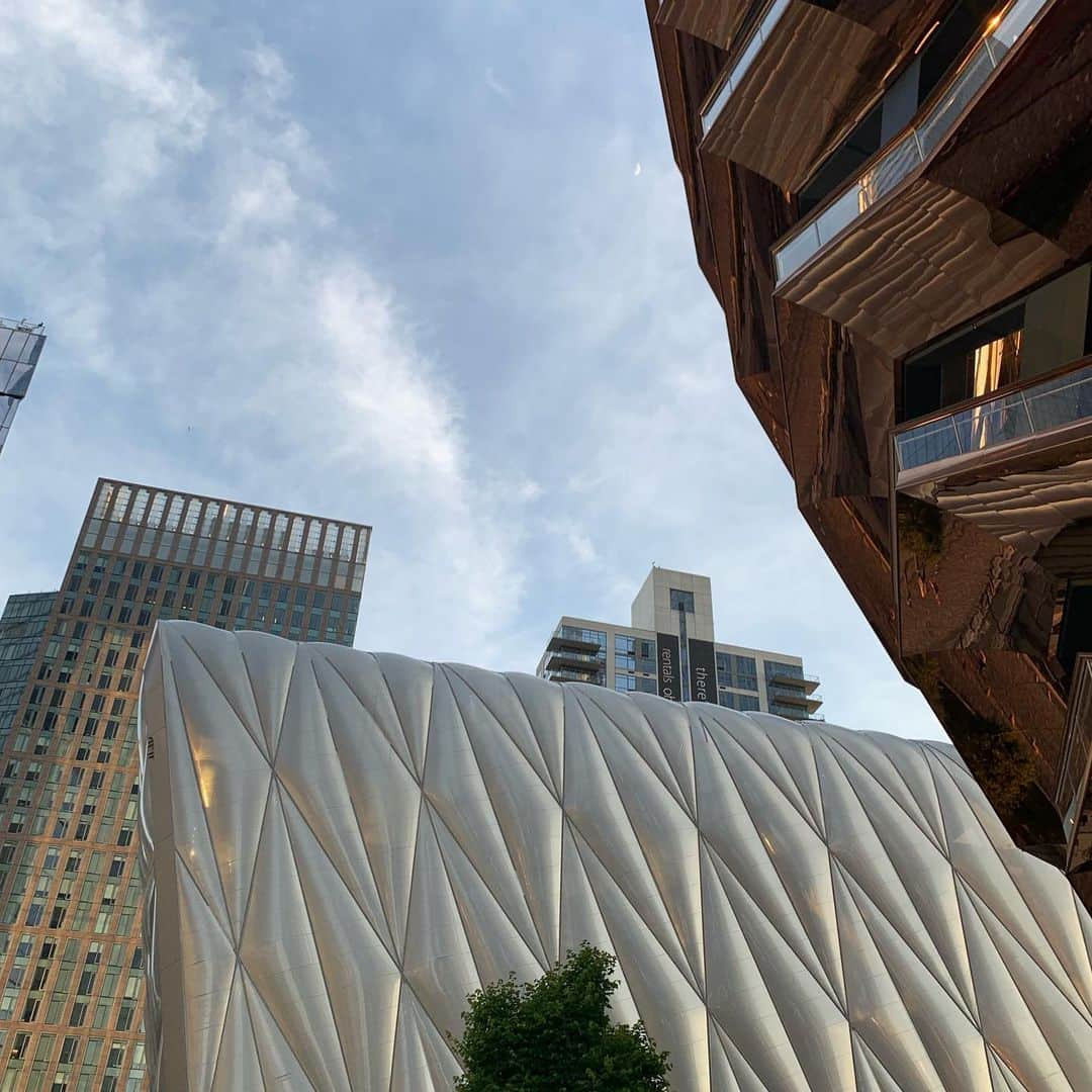 林信行さんのインスタグラム写真 - (林信行Instagram)「New Yorkの新名所、Nieman Marcusの目の前に建つベッセル(トーマス・ヘザーウイック作)。階段だけの構造体、今回は時間なく登ることできなかったので次回の宿題。 横のThe Shedも今回は外から見るだけ。 昨日は朝のThe Croistersからずっと堀永さん(マンハッタン在住なのに車持ち)の車で移動。おかげでかなり効率よくマンハッタンを回れた！感謝！ @ Hudson Yards New York」6月9日 20時50分 - nobihaya