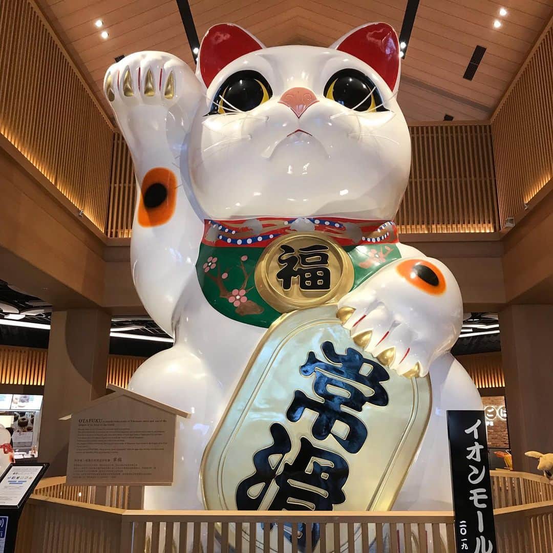 大西蘭のグルメインスタ