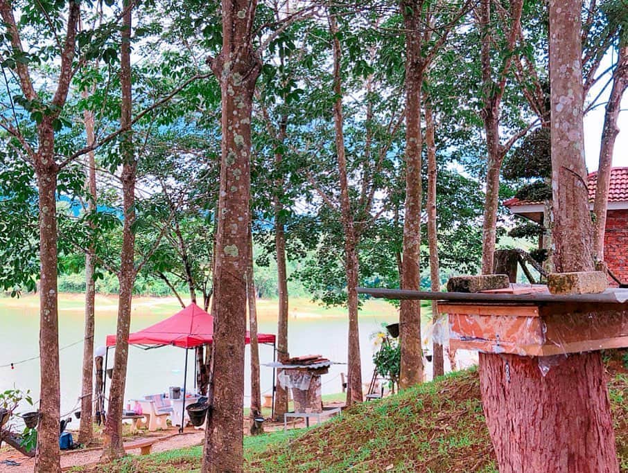 高本采実さんのインスタグラム写真 - (高本采実Instagram)「🌴 ハンモックでくつろげる空間もあるよん☺️ ブランコもあって、 木の下日陰で風浴びて気持ちよかった〜(*´◒`*) . 自然に囲まれた 手作り感溢れる素敵な場所🌱💓 . . . . . #berislake #beris #SELAMATDATANG #Malaysia #マレーシア #ハンモック #hammock #chilltime #自然 #釣り好き #釣りガール #高本采実 #あやみん #ayamistagram」6月9日 21時18分 - ayami__summer