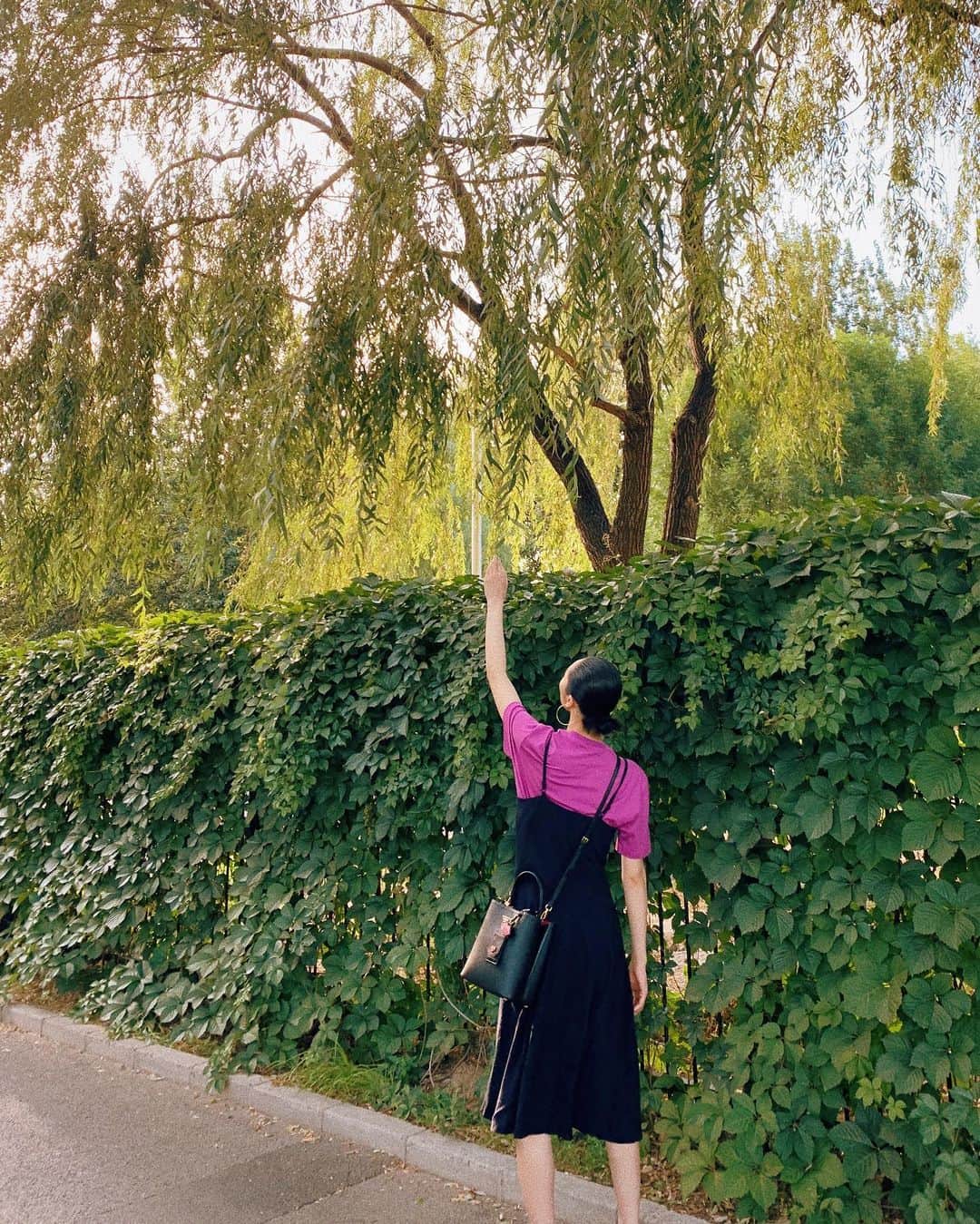 リウ・ウェンさんのインスタグラム写真 - (リウ・ウェンInstagram)「Vines grow upward while willow trees reach down 👆👇」6月9日 21時35分 - liuwenlw