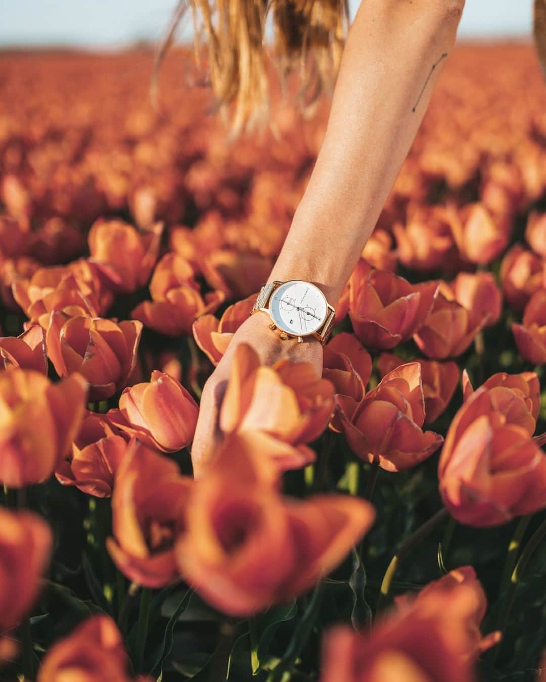 Kapten & Sonさんのインスタグラム写真 - (Kapten & SonInstagram)「'Let your dreams blossom.' 🌸 @nat_al_ie wears our beautiful Chrono Sand Woven Leather! ✨ #bekapten #kaptenandson⠀ .⠀ .⠀ .⠀ #tulips #flowers #watches #detaillove #summervibes #summertime #summeroutfit #ootd #ootdfash #fashionlover」6月9日 21時30分 - kaptenandson