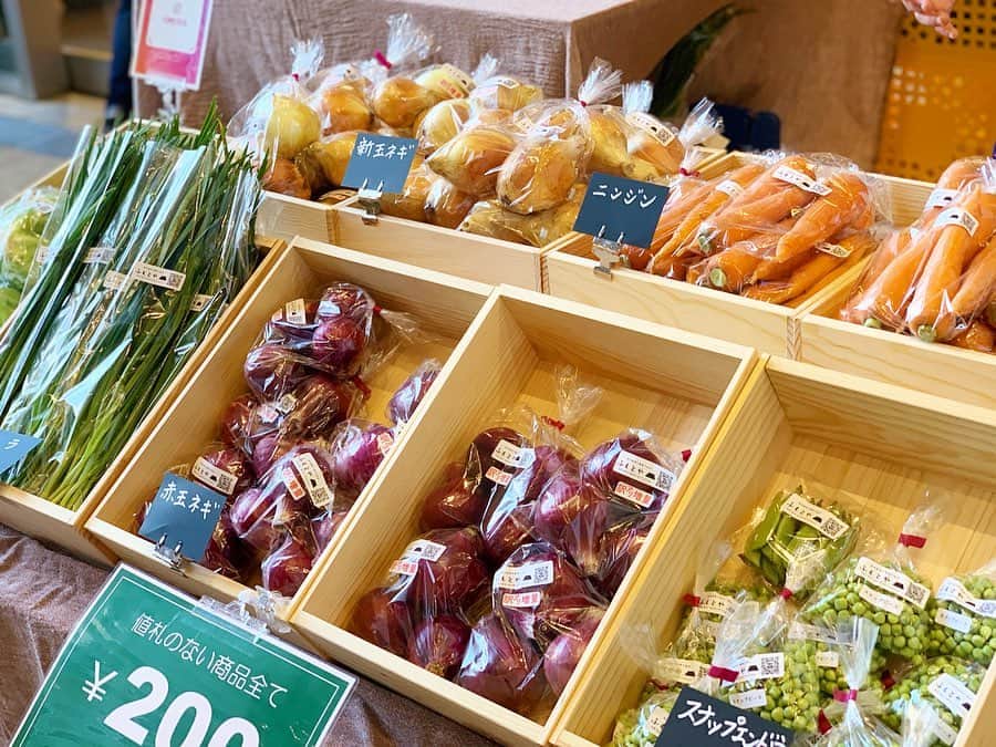 LECT レクトさんのインスタグラム写真 - (LECT レクトInstagram)「本日は朝から広島T-SITEにて、廣島Mercatoが開催されていました。「メルカート」とはイタリア語で「市場」のこと。 生産者さんこだわりの旬のお野菜、食材をお届けする美味しいマルシェです。定期開催を予定しておりますので、情報はこちらからチェック。 @hiroshimatsite_foodtime . 合わせてお知らせです。 次回の廣島蚤の市は6/28(金),29(土)の開催。平日の開催は初の試みなのでドキドキですが、皆さまにお会いできることを心より楽しみにしております。詳しくはこちら。 @hiroshima_nominoichi . #lect #レクト #広島tsite #tsite #廣島mercato #mercato #メルカート #産直市 #地産地消 #マルシェ #市場 #蚤の市 #広島観光 #広島旅行 #広島市」6月9日 21時31分 - lect_hiroshima