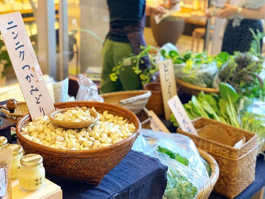 LECT レクトのグルメインスタ