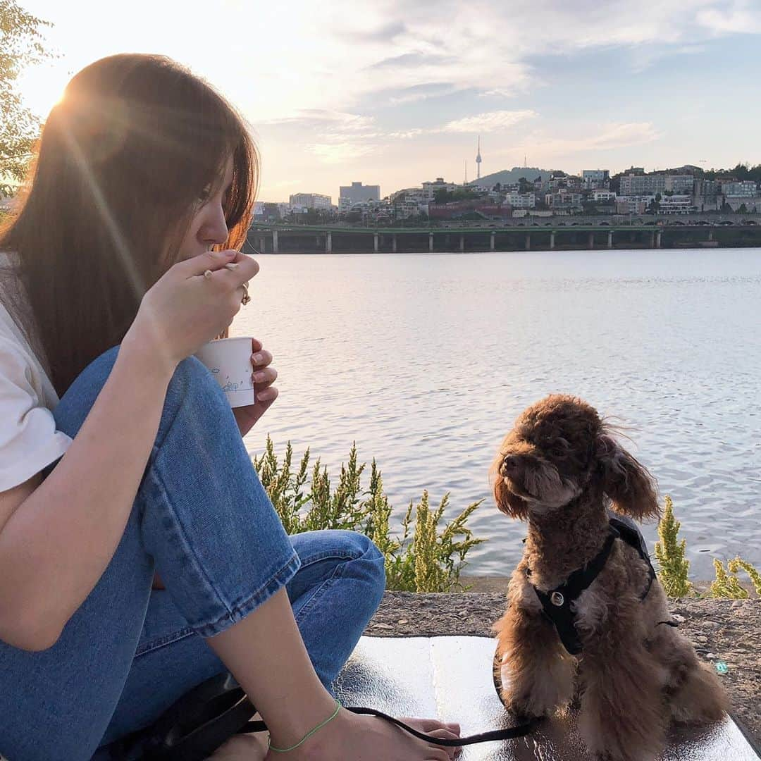 ユン・ウネさんのインスタグラム写真 - (ユン・ウネInstagram)「기쁨이와 꽁냥꽁냥 좋은 주일을~🐶」6月9日 21時33分 - y1003_grace