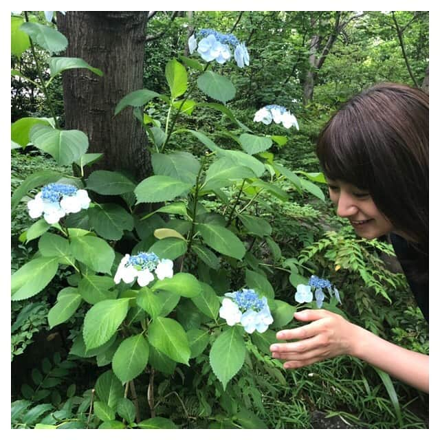 林美沙希さんのインスタグラム写真 - (林美沙希Instagram)「雨の季節ですね。 明日からに備えて早めに寝ます。  #かくさんの写真シリーズ#あじさい#カルガモ観察の時#雨#髪のうねりが気になります」6月9日 22時33分 - misaki0hayashi