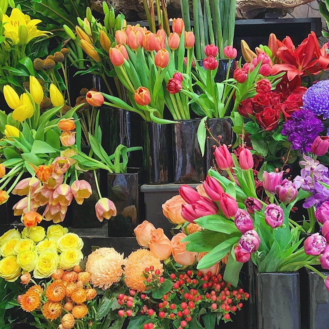 中谷愛さんのインスタグラム写真 - (中谷愛Instagram)「Australian flowers are very beautiful💕💐 #ai___worldtravel」6月9日 22時40分 - aixox3