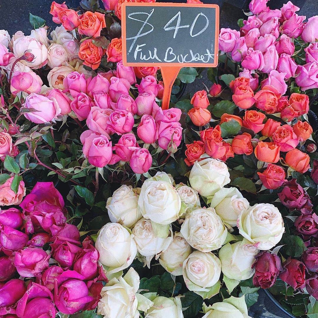 中谷愛さんのインスタグラム写真 - (中谷愛Instagram)「Australian flowers are very beautiful💕💐 #ai___worldtravel」6月9日 22時40分 - aixox3