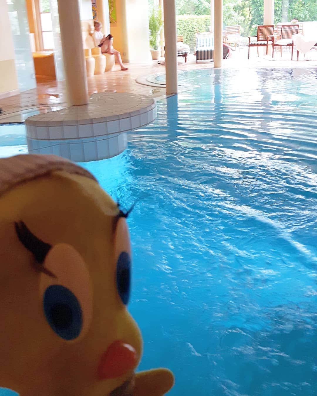 Little Yellow Birdさんのインスタグラム写真 - (Little Yellow BirdInstagram)「One last swim in the beautiful hotel De Bloemenbeek, and then it's time to go home again. #littleyellowbird #tweety #tweetykweelapis #adventures #yellow #bird #weekend #sunday #pinksteren #whitsundays #pentecost #sunnyday #trip #weekendgetaway #swimming #pool #swimmingpool #pooltime #delutte #bloemenbeek #overijssel #twente #stuffedanimalsofinstagram #plushiesofinstagram」6月9日 23時04分 - tweetykweelapis