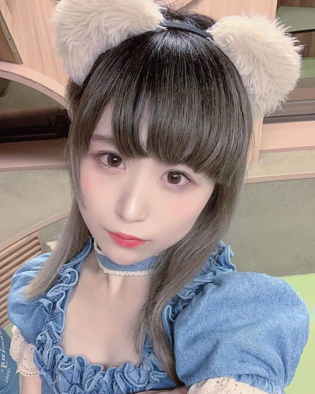 モニ子さんのインスタグラム写真 - (モニ子Instagram)「ねこちゃん🐈, , , , , #meido #アイドル #idol #japan  #maid #maidcafe  #メイド服」6月9日 23時00分 - monico_cos