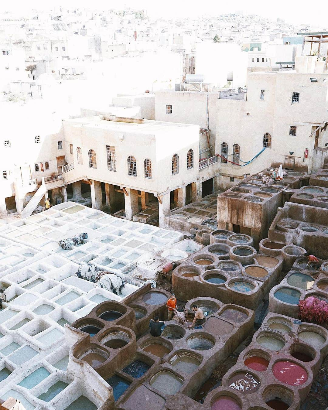 Manamiさんのインスタグラム写真 - (ManamiInstagram)「Tanneries in Fes フェズのなめし革工場🎨🐂🐃🐪 臭い凄すぎてミント渡される🌿 ㅤ 📸 @fanfanirene」6月9日 23時59分 - manashika