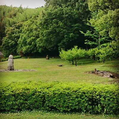 和田益典さんのインスタグラム写真 - (和田益典Instagram)「◆ 2019/06/08 ③ . 飛鳥資料館の奇妙な石たち。(の一部) . 亀石やら、猿石やら、二面石やら、ここにあるのはオールレプリカですが、旅行者が先にここに訪れたら全部の本物を見に行きたくなるんとちゃうかな？ . 知らんけど。 . 兎に角、飛鳥の地にはこの様な "けったいな石" が多い。 . 時の斎明天皇(女帝)は石造物がかなり好きだったようです。 . 写真５枚目の遠くに写る酒船石とか、まるでチ●ポのような石 (須弥山)のレプリカもありますよ。 . . #飛鳥資料館 #奈良 #大和路 #奈良県 #明日香村 #飛鳥 #明日香 #古代 #いにしえ #石 #石造 #奇妙 #奇石 #斎明天皇 #飛鳥時代 #stone #石造物 #謎 #不思議 #けったい #mystery #funny #strange #ancient #oddstone #mysterystone #ミステリアス #奇怪 #nara #japan . .」6月9日 23時59分 - masunori_wada