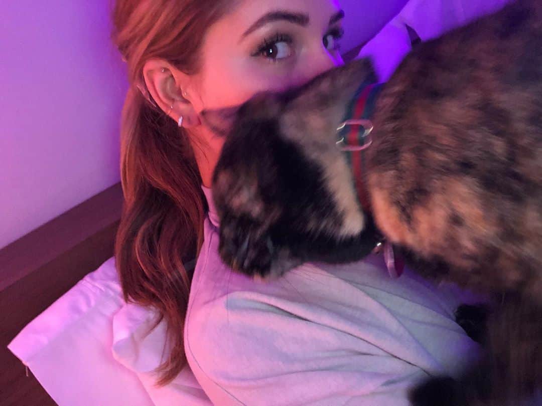 デビー・ライアンのインスタグラム：「🦇」