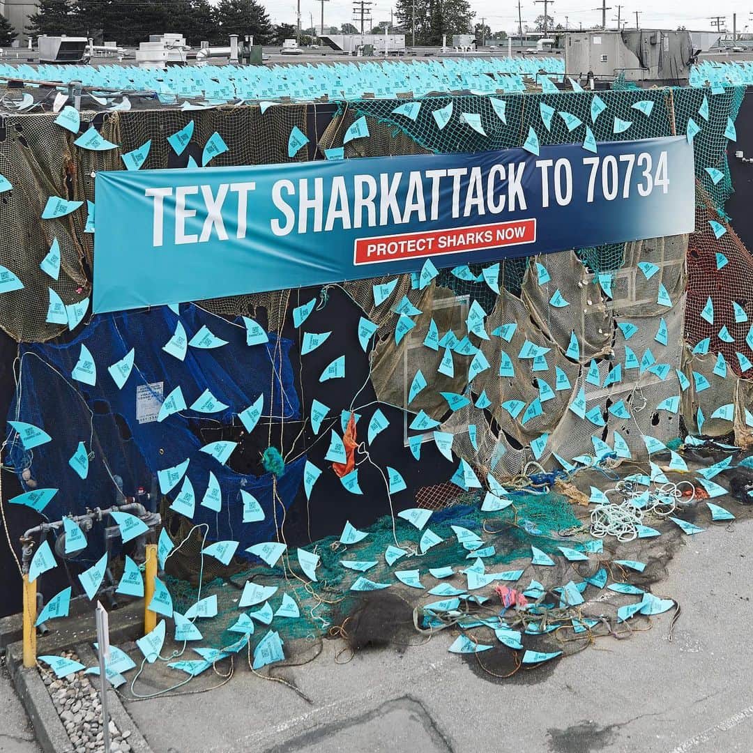 LUSH Cosmeticsさんのインスタグラム写真 - (LUSH CosmeticsInstagram)「To help spread awareness to the human-driven #SharkAttack, we spread recycled cardboard shark fins on the roof of our Vancouver-based factory to highlight how many sharks are slaughtered every 3 minutes for food, cosmetics and supplements. This is seen from a busy commuter train representing the shark deaths in the time it takes to travel from one station to another. Take a pledge to end the shark attack and text SHARKATTACK to 70734 (Canada) / 40649 (USA) or via our link in bio. 🦈🦈🦈」6月10日 0時57分 - lushcosmetics