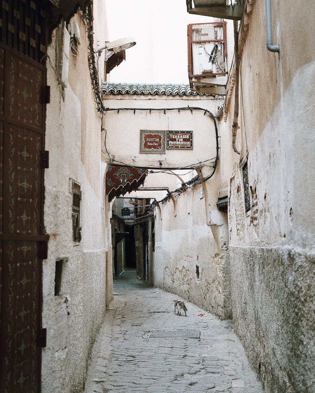 Manamiのインスタグラム：「Medina of Fes ガイドがいないと外に出られない 世界一の迷宮都市で世界遺産フェズ」