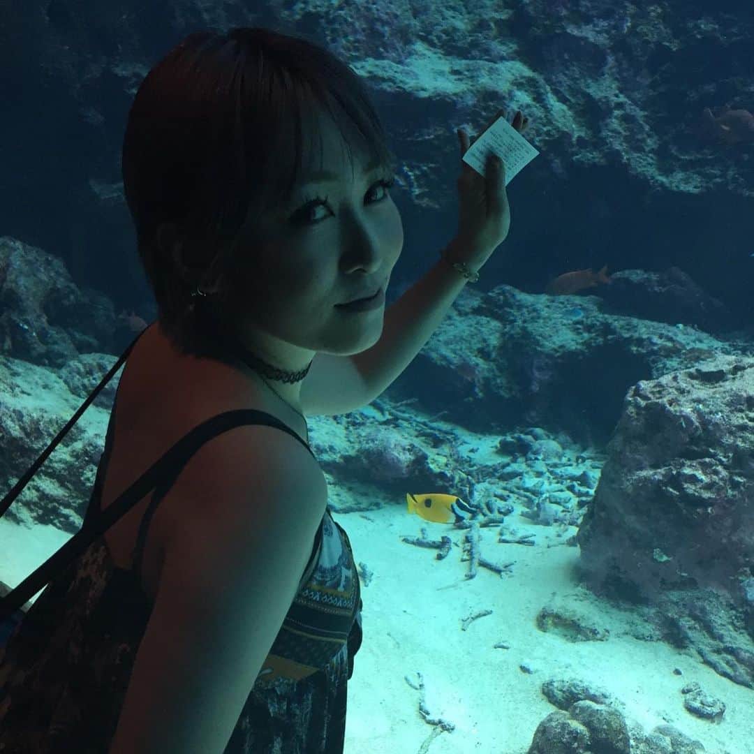 西城凛さんのインスタグラム写真 - (西城凛Instagram)「沖縄の思い出ver.3 美ら海水族館でわんさか写真を撮ってきたよ！マンタやジンベイザメと2ショ撮るのに必死になったりw あたしの携帯はiPhone XSなのですが、持ち主の腕が悪いからかあまり画質が良く写らなくて反省。 ほんとはもっと綺麗だった！ . #西城凛 #沖縄 #沖縄旅行 #旅行記 #美ら海水族館 #水族館 #ジンベイザメ #思い出 #写真の腕がない」6月10日 13時04分 - rinsaijo