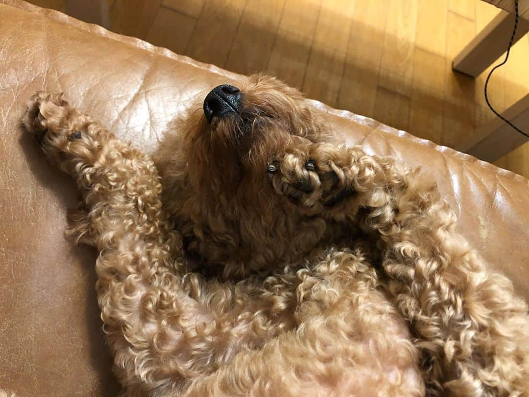 ミナ さんのインスタグラム写真 - (ミナ Instagram)「ㅋㅋㅋㅋㅋㅋㅋㅋㅋ 개 실신....」6月10日 11時42分 - bbang_93