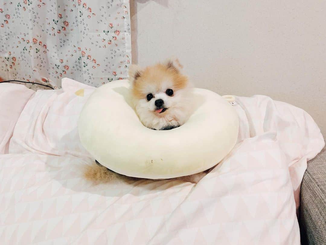 r_oseのインスタグラム：「🍩🥯🥞〰️」