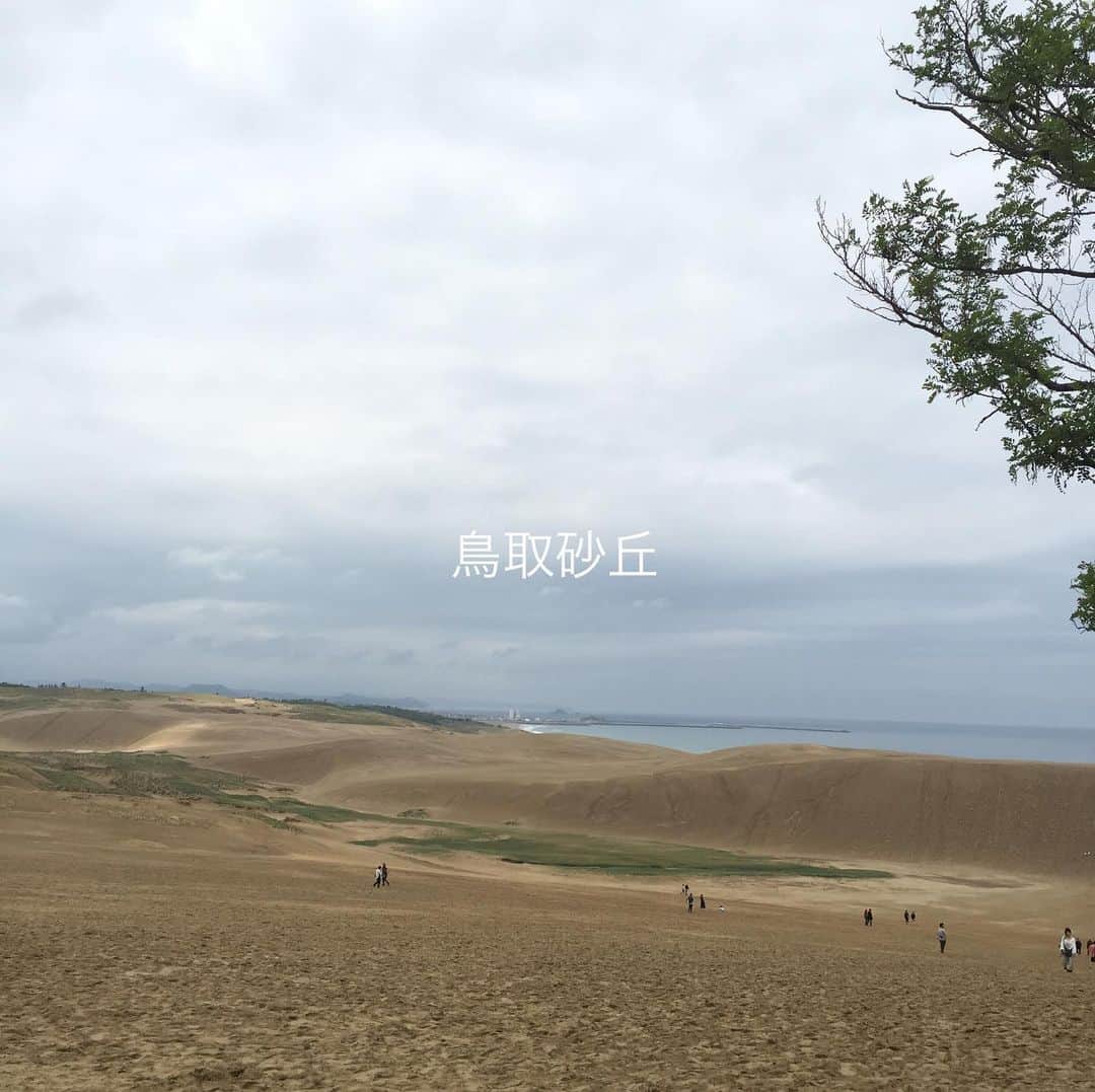 宇田見建設さんのインスタグラム写真 - (宇田見建設Instagram)「今日は鳥取砂丘に来ています。 ・ 朝降っていた雨も上がり、風が気持ちのいい鳥取砂丘です。 #宇田見建設  #鳥取  #鳥取砂丘」6月10日 12時12分 - utamikensetsu