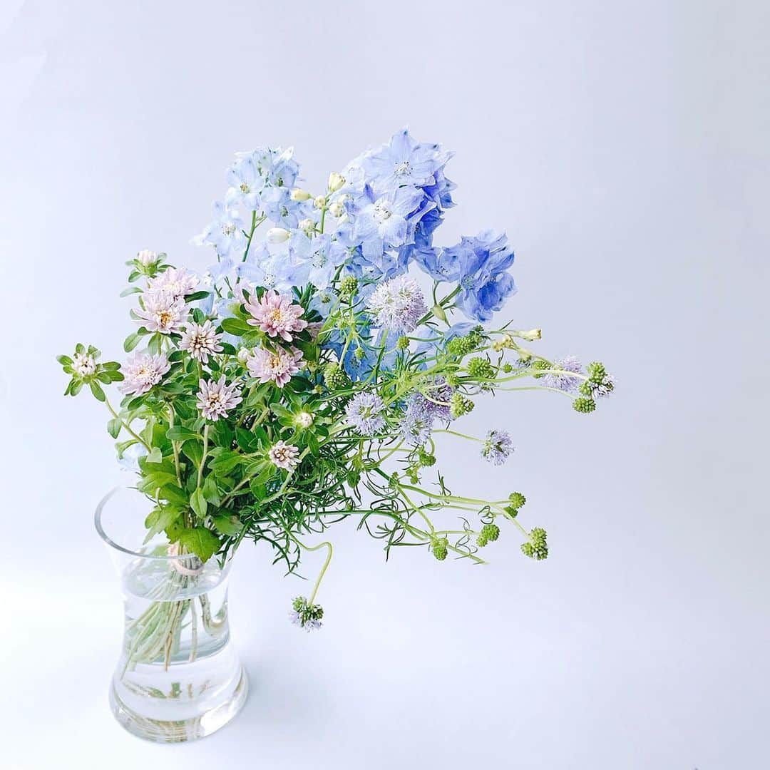 SPURさんのインスタグラム写真 - (SPURInstagram)「梅雨入りで毎日ジメジメしているので、ブルーを基調とした花束を作ってもらいました。これで気持ちだけでも爽やかに過ごせそうです✨（編集U）  #SPUR #SPURflower #デルフィニウム #ギリア #花　#flower #SPUR #fashion #mode #follow #newin」6月10日 12時23分 - spurmagazine