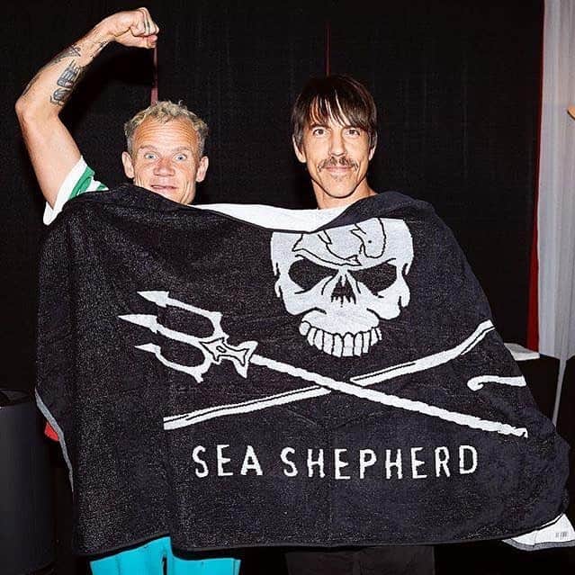 Red Hot Chili Peppersさんのインスタグラム写真 - (Red Hot Chili PeppersInstagram)「Worlds Oceans Day was officially yesterday but we need to think about our Ocean every day. Did you know that most  of the earths oxygen comes from the ocean via Phytoplankton . Please support Sea Sheperd in preserving  our planets greatest resource and join them as they fight to protect the most endagered marine mammal , the Vaquita porpoise.  learn more at www.vaquitadefenders.org/ 💙」6月10日 12時26分 - chilipeppers